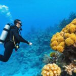 Plongez dans malgrim com : le guide incontournable